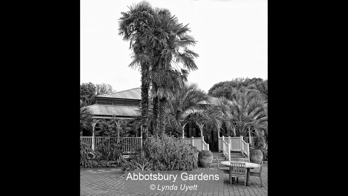 Abbotsbury Gardens